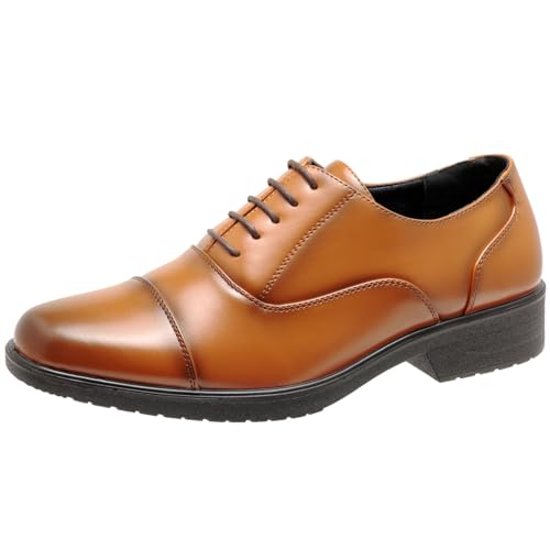 [Oxford Field] rWlXV[Y Y h L3E EhgD (1141BR Xg[g`bv, {̌C̃TCY@, l, l, 3_e, 27.0 cm)