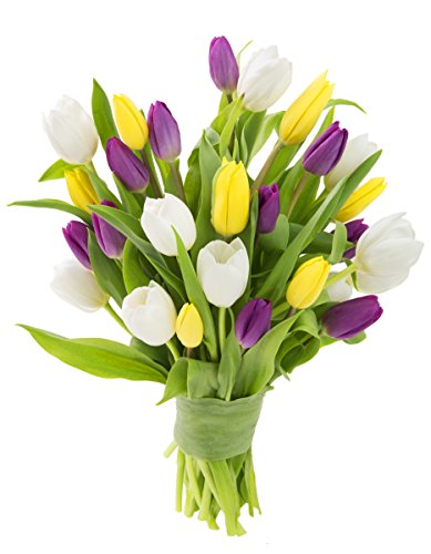 Blooms2Door KADB1350-V999-A999 Kabloom Prime Next Day Delivery - Fall Collection - Combo Pack Of Fresh Tulips cover