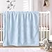 BORITAR Fleece Baby Blanket with 3D Elephant Design for Boys Girls, Ultra Soft Cozy Receiving Blanket for Newborn Infant Toddler, Fluffy Blanket for Crib, Stroller (30x40 Inches, Light Blue)