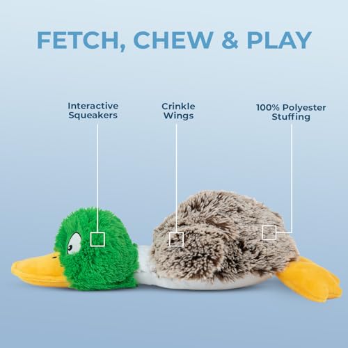 Best Pet Supplies Interaktives Mallard Mates Hundespielzeug mit knisternder und quietschender Bereicherung für kleine und mittelgroße Rassen, Welpen oder Hunde, niedlich und plüschig, Stockente