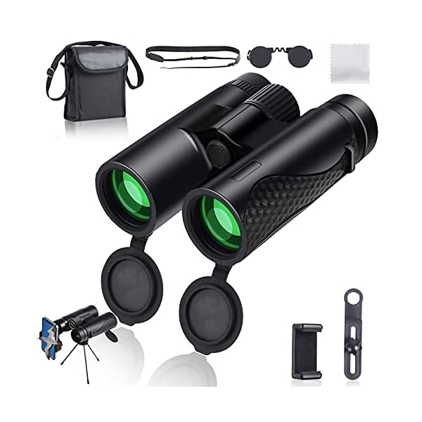 Fernglas 12x42 HD Kompakte Ferngläser Kinder Erwachsene mit Smartphone-Adapter, Wasserdichtes Fernglas Klare…