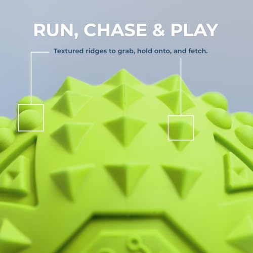 Image of Best Pet Supplies Squeaky Dog Toys with Soft Durable Fabric for Small, Medium and Large Pets Interactive Toy for Indoor Play, Supports Active Biting and Play - Fuchsia, Green (L:3.5 inch)