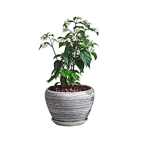 Pot de fleur géométrique YRYRYW en céramique pour plante verte d'intérieur