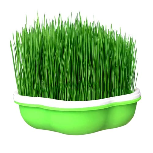 育苗ポット | もやし栽培機 もやし栽培キット 水耕栽培器 もやし家庭菜園 スプラウト栽培 発芽を開始する種子の成長のためのミニ温室発芽トレイ もやし栽培機 もやし栽培キット