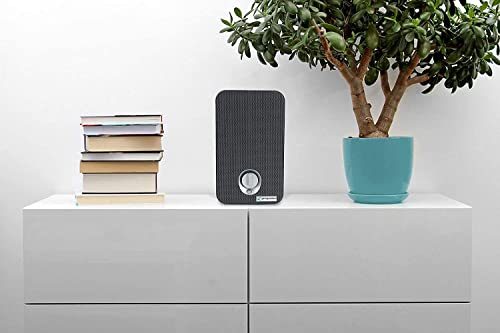 Germ Guardian Desktop Air Purifier For Home, H13 Hepa Filter, Removes Dust, Allergens, Smoke, Pollen, Odors, Mold, Uv-C Light Helps Eliminate Germs, 11 Inch, Silver, Ac4100 #TOP6