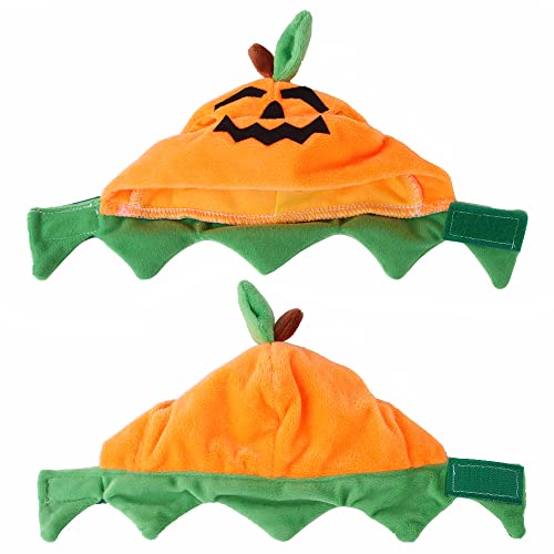 Sombrero de Halloween para gatos y perros pequeños miniatura 4