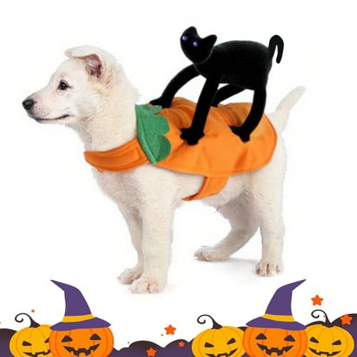 Halloween Haustiere Cosplay Kostüme, Lustige Hundekleidung mit stehender schwarzer Katze, Haustier-Outfit Halloween, lustige Hundekatze Kostüm mit schwarzer Katze, für die Hunde und Katzen (XL)
