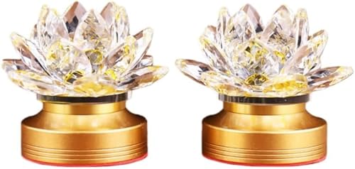 Bianstar@ؓ @̉ԃt[Cg 2ZbgzLEDƖbdE_Optb~E@E@vEފ݁EɍœKbCeAƖƂĂ[^XfUC (3.5C`̃NX^t[fUC,3F̃Cg)