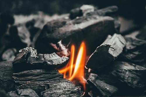 Image of Eco-Friendly Natural Wood Charcoal Cooking Coal for Smoking Food Barbeque-Grilling-Cooking-Broiling-Long Burning Coal for Home,Kitchen & Garden (1kg)