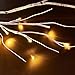 Hairui Birch Garland with Lights 6FT 48 LED Battery Operated, Lighted Twig Vine with Timer for Christmas Home Fireplace Decoration Indoor Outdoor Use