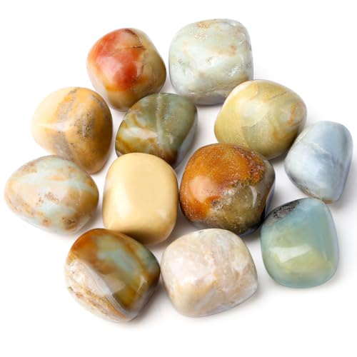 DUQGUHO Amazonite Crystals Healing Crystal Stones Set Natural Crystals Bulk Irregular Stones 0.45 lbs