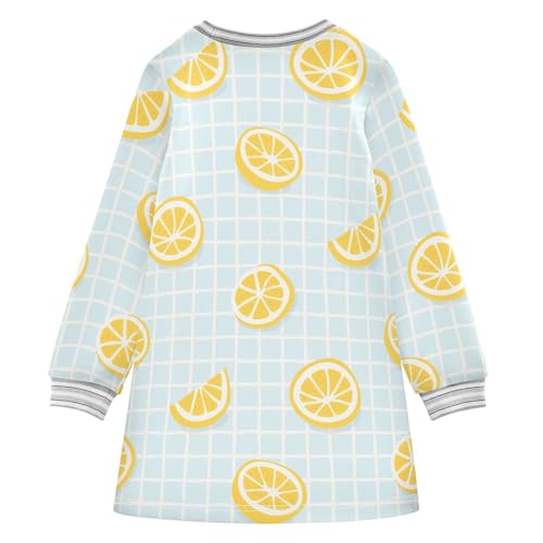 Lemon Slice Girls Dresses Long Sleeve Sweatshirt Dress for Girls Winter Toddler Casual A Line Dresses Size 2-8T2