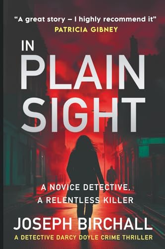 In Plain Sight view 2