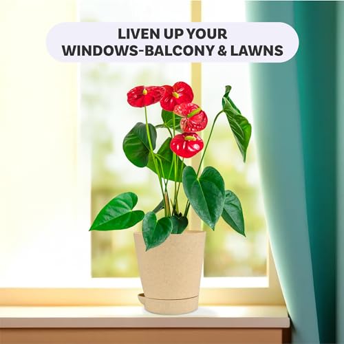 Image of Kuber Industries Pack of 12 Flower Pot | Flower Pot for Living Room-Office | Flower Planters for Home-Office-Lawns & Garden Decor | Self Watering Flower Pots | Marble Titan | 4 Inch | Beige