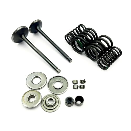 Kit de reconstrucción de válvulas para ATV 300B y FA-D300 3