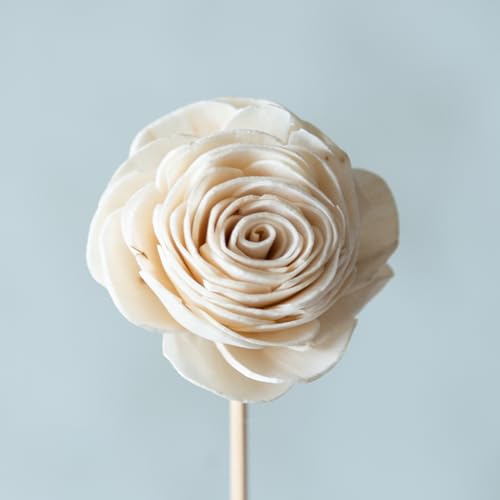 Image of White Sola Beauty Rose 8 cm On Stem (10 Sticks) | Natural Dried Flower |Eco-Friendly Flowers for Home, Office, Bedroom, Table Decoration and Craft Items Corner (Without Vase Pot)