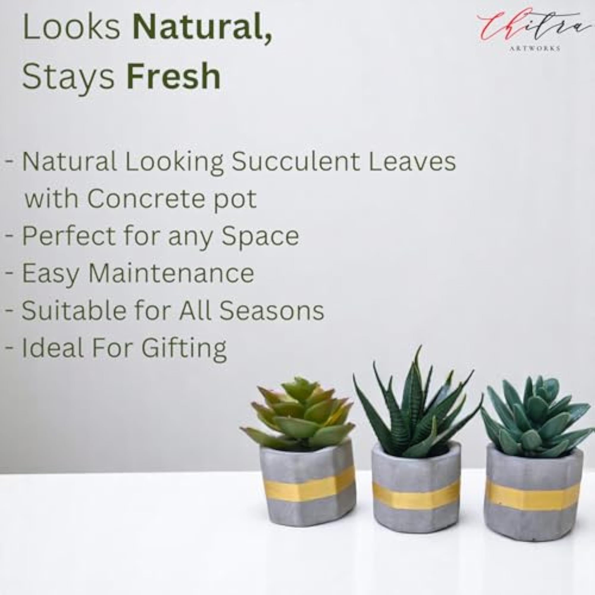 Artificial Succulent Plants in Mini Concrete Pots for Desk Decor