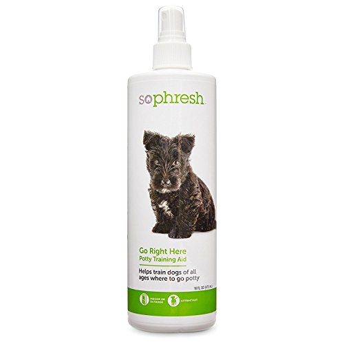 So Phresh Go Right Here Potty Training Spray 16 oz.