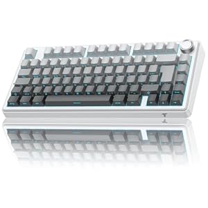 TECURS Gaming Tastatur Mechanische | 75% Hot-Swap Sideprinte Tastatur Kabellos Rote Achse Gasket Mount, PBT, RGB, Creamy MK209 Keyboard (2.4G/BT/Type C) – Für Gamer Setup