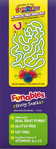 Funables Fruit Snacks, Mixed Berry Fruit Flavored Snacks, 0.8 ounce Pouches (Pack of 80)