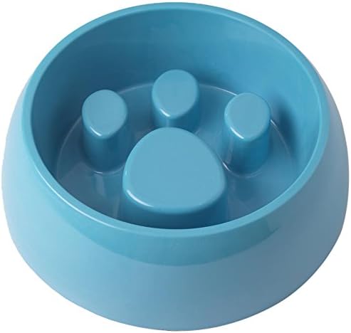 PetRageous 6 Cup Chow Time Slow Feed with Non-Slip Bottom, Large, Aqua