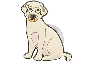 Lacrosse Jibbitz for Crocs - Personalize Your Footwear with Style