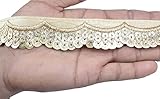 CRAFTLOVE Shimmering Pankhi Sequence Lace Border 9.2 Yard / 8.5 mtr for Decorations, Designing, Sewing, Art & Crafts (Width : 3.5 cm) (Gold)