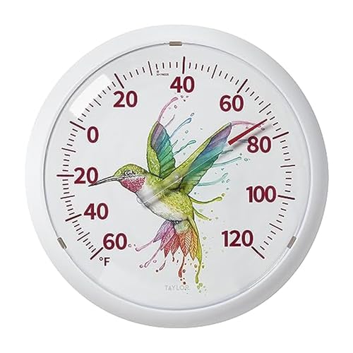 Taylor Watercolor Series Rainbow Hummingbird Indoor Outdoor
