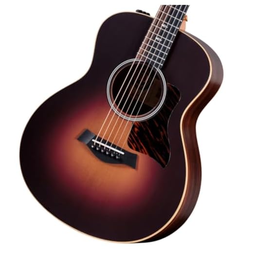 Taylor 50th Anniversary GS Mini-e Rosewood SB LTD, Acoustic Guitar