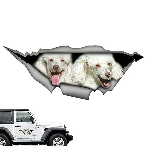 Decalques da rachadura do carro Adesivos para estimação, Adesivos para Vidros Carros, Decalques pare