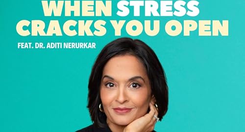 When Stress Cracks You Open | Dr. Aditi Nerurkar