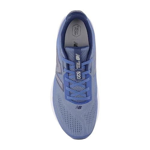 Image of New Balance Men's Fresh Foam 520 v9 Running Shoe