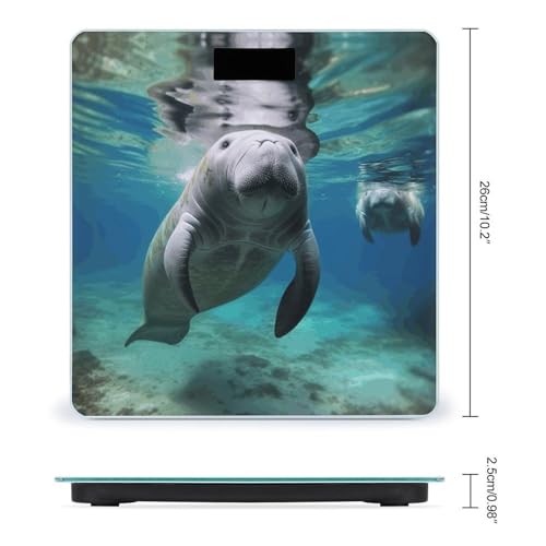 Báscula Digital Oceánica Manatí para Peso Corporal Precisa miniatura 2
