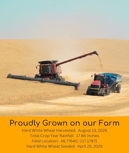 Palouse Brand Hard White Wheat Berries ? 100% Desiccant Free ? 5 lbs ? Non-GMO Project Verified ? Kosher Parve ? USA Grown ? Field Traced ? Burlap Bag