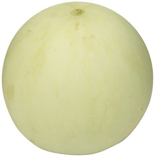 Honeydew Melon Conventional, 1 Each
