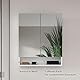Probus Basic Spiegelschrank 60 cm – Moderner Spiegelschrank in Weiß mit offenem Fach und viel Stauraum – Made in Germany