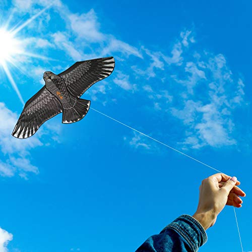Large Eagle Bird Kite for Children & Adults - Huge Wingspan and Lifelike Design - Easy to Assemble & Fly - Superb Outdoor Toy - Makes a Great Gift or Stocking Filler - 5