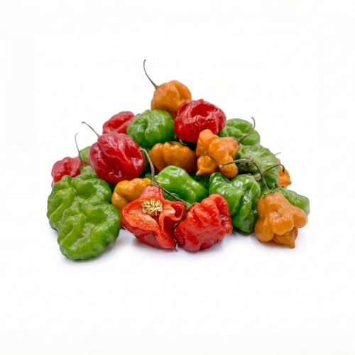 Fresh Aji Cachucha Peppers