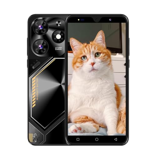 QrZrQ Unlocked Smartphone Barato, Pantalla de 5,0 Pulgadas 16GB ROM 3G Network Teléfono con Doble SIM y Doble Cámara (Pova6Pro-Black)