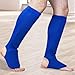 Shin Instep Guards Protector Padded Leg Guards Equipment MMA Boxing Training Muay Thai Kickboxing Taekwondo, Blue Color M