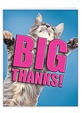 Funny Thank You Card with Envelope (8.5