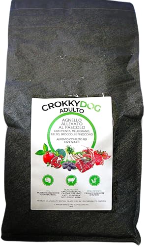 Crokky Dog Alimento para perros adultos mediano grande – Cordero criado al pastoreo – Ingredientes aptos para el consumo humano – Única fuente proteica – Formulado sin gluten de trigo – 2 kg