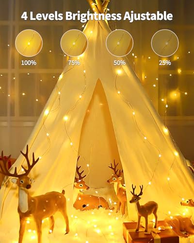 YIFMOO 2M 200LED Lichterschweif mit Strom, 8 Modi Lichterbündel mit Timer, Wasserfall Lichterkette mit Fernbedienung, LED Weihnachtsbeleuchtung für Weihnachten Balkon Garten Innen Außen Deko, Warmweiß