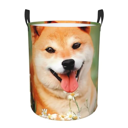ꂽ̂ ꂽ Č   ԕ ܂肽 [h[{bNX G [obO QA󎺁A LN^[ 킢 ~^ M