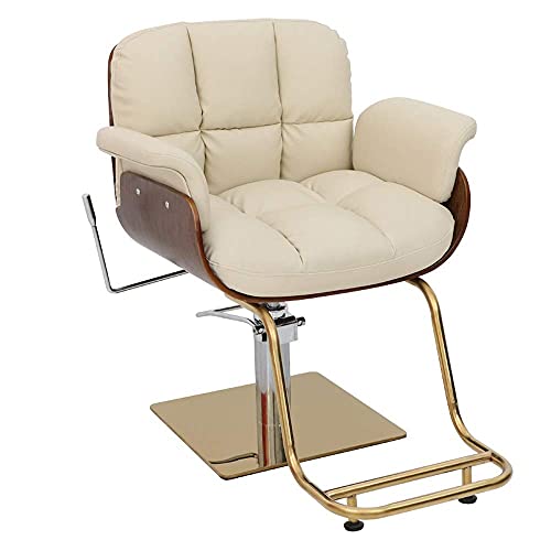 GAAHRQQQ Hydraulic Salon Recliner Hair Salon Chair in Beauty Personal Care Barber Chairs Heavy Duty Reclining Hydraulic Hair Styling Chair Tattoo Chair for Salon Beauty Equipment