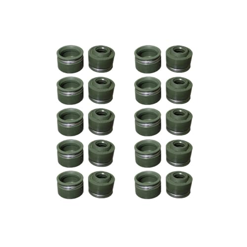 Joints de tige Z155 pour Pit Bike YX 150cc 155cc 160cc - Pack de 10 Sets complets pour moteur