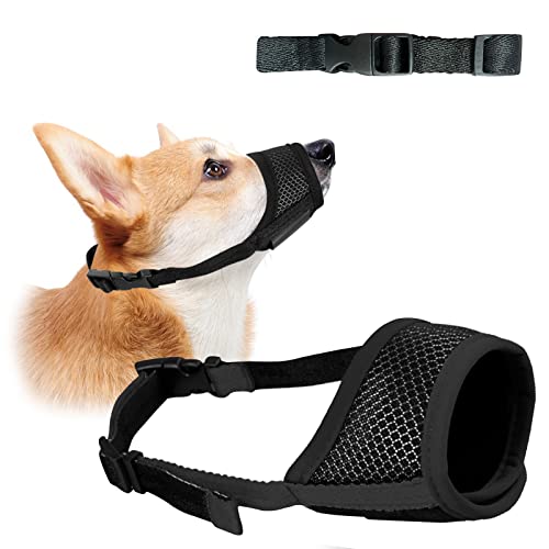 Dog Muzzle Near Me 2023 Vet Ranch We Love Pets