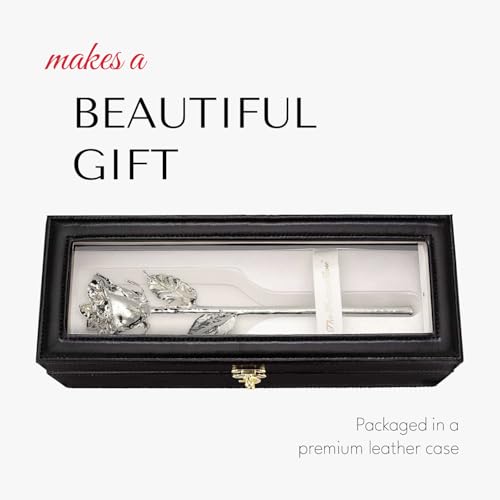 Image of Forever Rose Real Rose Dipped in Silver, Luxury Leather Display Case