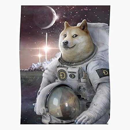 Amazon Com Dogecoin Space Dog Crypto Meme Doge Funny Joke Home Decor Wall Art Print Poster Posters Prints