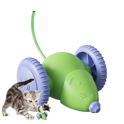 Cat Toys,C^NeBu LbggC lY~  - [d   Q[ ^ y g[jO vC  - a nEB